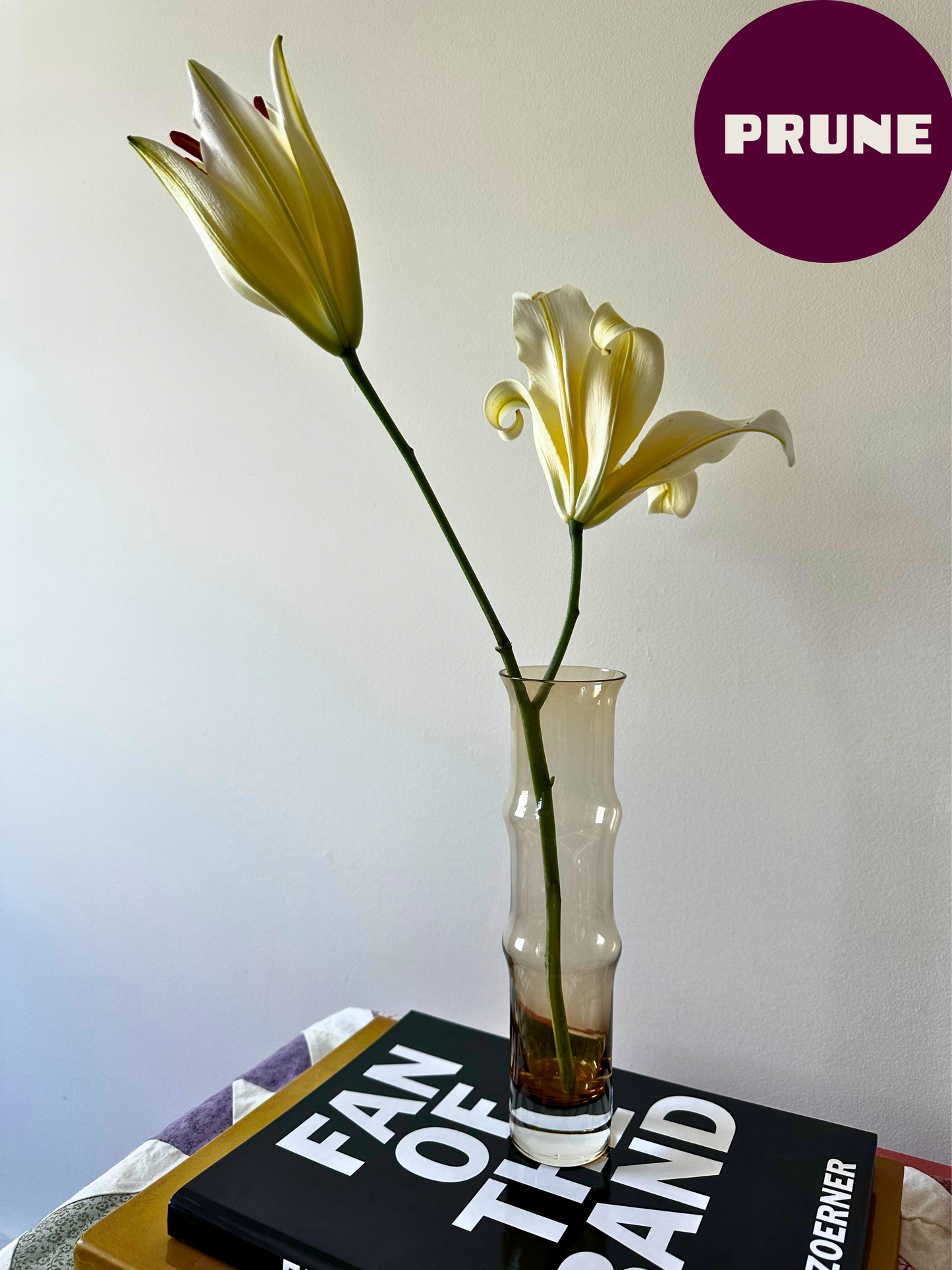 PRUNE SELECTS: Amber Aseda vase