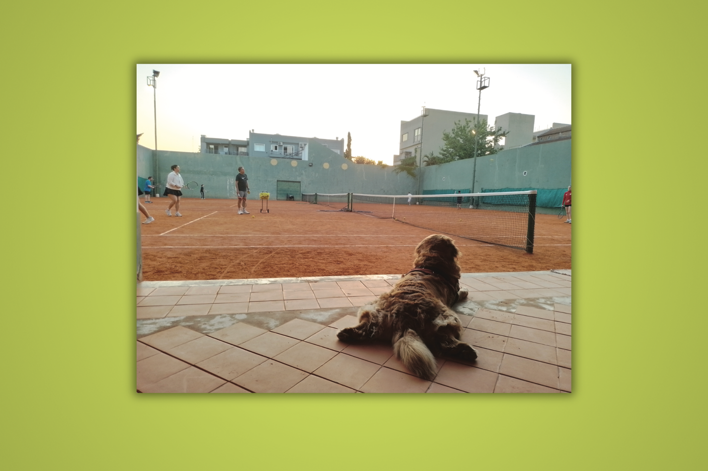 Ambient Tennis